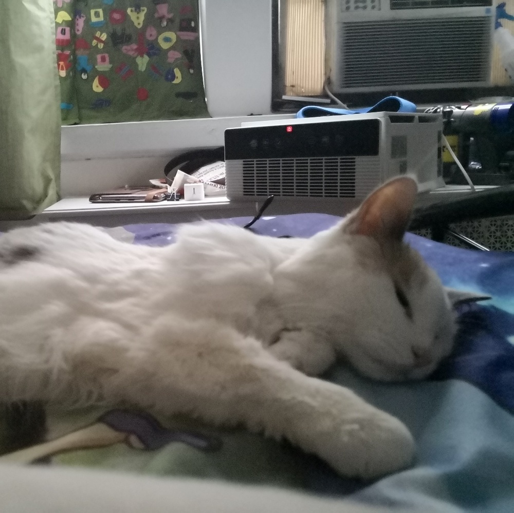 Meet your Posher, Bianca